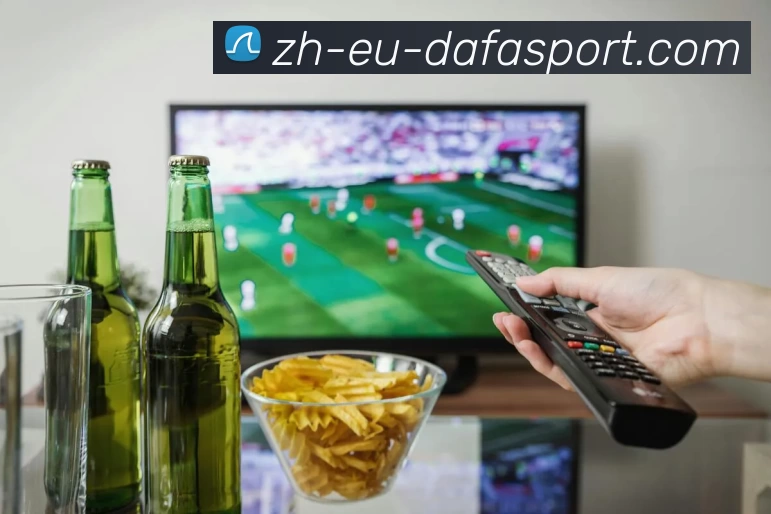 多媒体互动体验